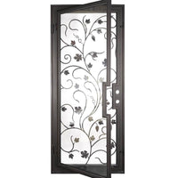 Single entryway door with a thick iron and steel frame and an intricate iron pattern in front of a full panel of glass. Door is thermally broken to protect from extreme weather.