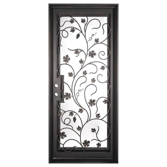 Single entryway door featuring a full pane of glass behind an intricate iron pattern on each door.