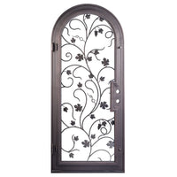 Single entryway door featuring a full pane of glass behind an intricate iron pattern on each door.