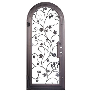 Single entryway door featuring a full pane of glass behind an intricate iron pattern on each door.