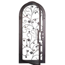 Load image into Gallery viewer, Single entryway door with a thick iron and steel frame and an intricate iron pattern in front of a full panel of glass and a full arch on top. Door is thermally broken to protect from extreme weather.