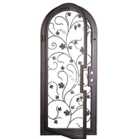 Single entryway door with a thick iron and steel frame and an intricate iron pattern in front of a full panel of glass and a full arch on top. Door is thermally broken to protect from extreme weather.