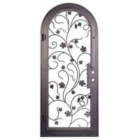 Single entryway door with a thick iron and steel frame and an intricate iron pattern in front of a full panel of glass and a full arch on top. Door is thermally broken to protect from extreme weather.