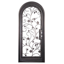 Load image into Gallery viewer, Single entryway door with a thick iron and steel frame and an intricate iron pattern in front of a full panel of glass and a full arch on top. Door is thermally broken to protect from extreme weather.