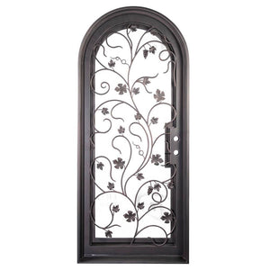 Single entryway door with a thick iron and steel frame and an intricate iron pattern in front of a full panel of glass and a full arch on top. Door is thermally broken to protect from extreme weather.