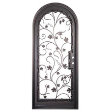 Load image into Gallery viewer, Single entryway door featuring a full pane of glass behind an intricate iron pattern on each door.