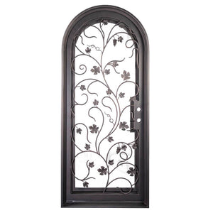 Single entryway door featuring a full pane of glass behind an intricate iron pattern on each door.