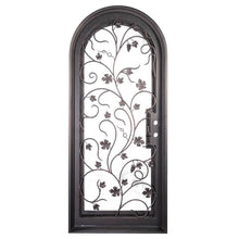 Load image into Gallery viewer, PINKYS June Black Steel Single Full Arch Doors