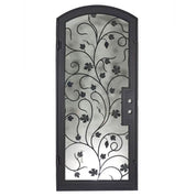 June soft arch top iron single swing door.