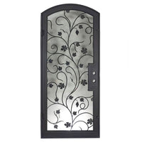 Single entryway door featuring a full pane of glass behind an intricate iron pattern on each door.