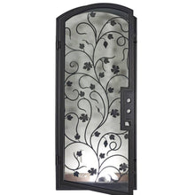 Load image into Gallery viewer, Single entryway door made with a thick iron and steel frame, a single full paned window behind an intricate iron design, and a slight arch on top. Door is thermally broken to protect from extreme weather.
