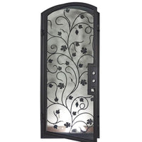 Single entryway door made with a thick iron and steel frame, a single full paned window behind an intricate iron design, and a slight arch on top. Door is thermally broken to protect from extreme weather.