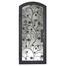 Load image into Gallery viewer, PINKYS June Black Iron Single Arch Door