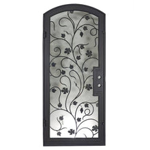 Load image into Gallery viewer, Single entryway door made with a thick iron and steel frame, a single full paned window behind an intricate iron design, and a slight arch on top. Door is thermally broken to protect from extreme weather.