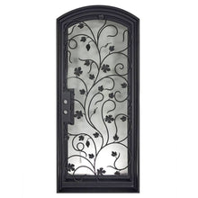 Load image into Gallery viewer, PINKYS June Black Iron Single Arch Door