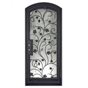 June black iron single eyebrow arch top door with dual-pane glass.