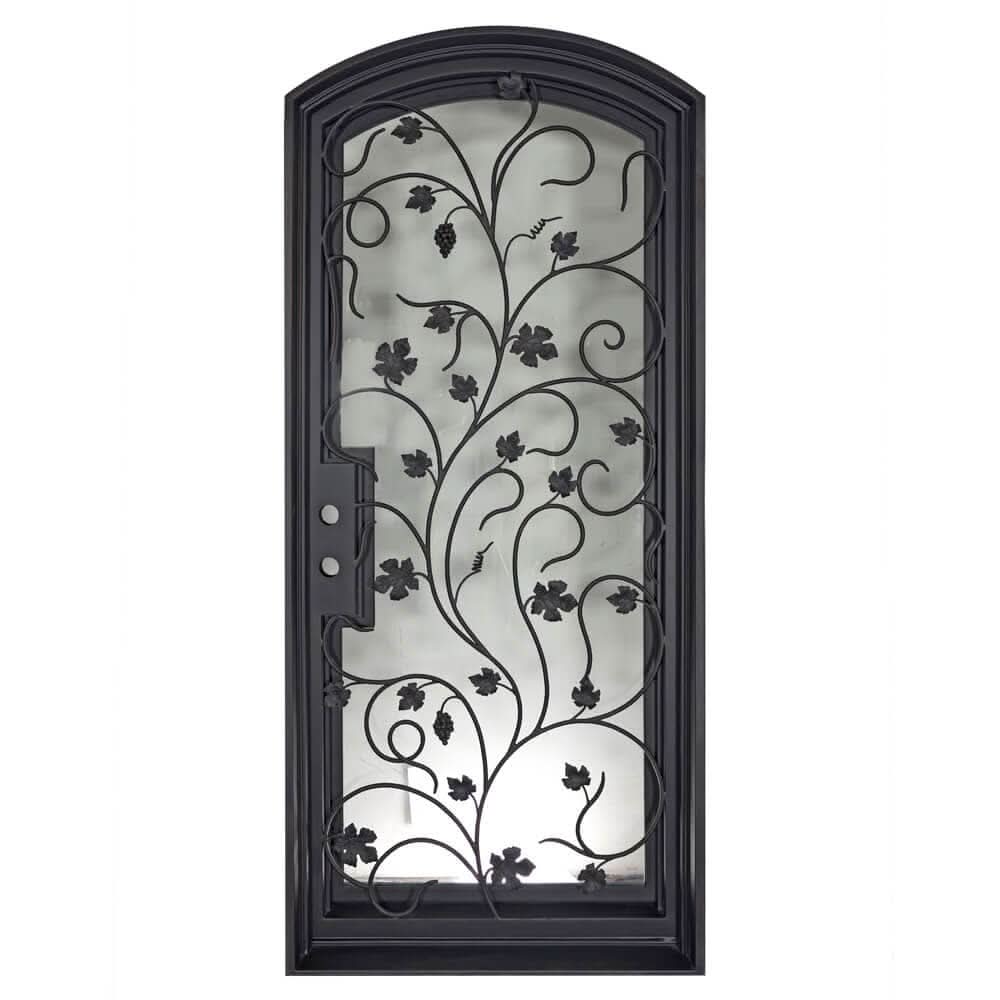 Single entryway door featuring a full pane of glass behind an intricate iron pattern on each door.