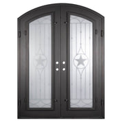 Lone Star bronze toned entry door with arched entry and glass.