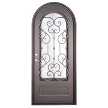 Load image into Gallery viewer, Full Arch Top Wrought Iron Front Single Door with Glass