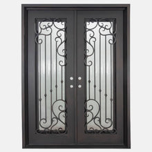 Load image into Gallery viewer, Double entryway doors with a thick iron frame. Doors feature a full panel of glass behind iron detailing and are thermally broken to protect from extreme weather.
