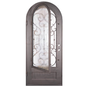 Single entryway door with a thick iron and steel frame and a full pane of glass behind intricate iron detailing.