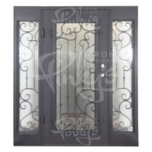 Load image into Gallery viewer, PINKYS Paris steel door with ascending iron vertical bars create the perfect linear contrast amidst the organic scrollwork of the Paris.