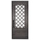 Single entryway door made with a thick iron frame. Doors feature 3/4 glass panels behind intricate iron designs.