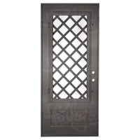 Single entryway door made with a thick iron frame. Doors feature 3/4 glass panels behind intricate iron designs.
