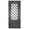 Single entryway door made with a thick iron frame. Doors feature 3/4 glass panels behind intricate iron designs.