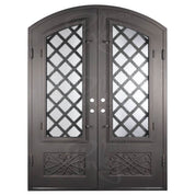 Queensway arch top metal entry door with thermal barrier and clear glass in black.