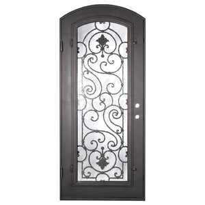 Single entryway door with full length pane of glass behind intricate iron detailing. Door features a slight arch and is thermally broken to protect from extreme weather.