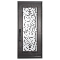 Single entryway door with a full length pane of glass behind intricate iron detailing and thick iron frame. Door is thermally broken to protect from extreme weather.