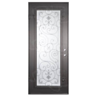 Single entryway door with a full length pane of glass behind intricate iron detailing.