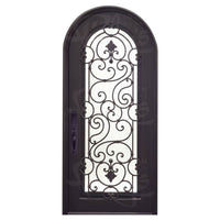 Single entryway door with a full length panel of glass behind intricate iron detailing.