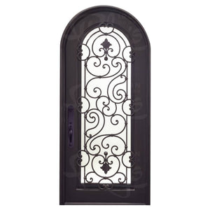 Single entryway door with a full length panel of glass behind intricate iron detailing.