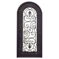 Single entryway door with a full length pane of glass behind intricate iron detailing and a thick iron frame. Door is thermally broken to protect from extreme weather.