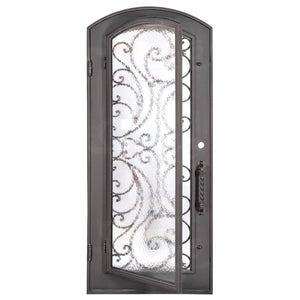 Single entryway door with a full length pane of glass behind intricate iron detailing. Door features a slight arch and is thermally broken to protect from extreme weather.