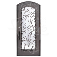 Load image into Gallery viewer, Single entryway door with a full length pane of glass behind intricate iron detailing. Door features a slight arch and is thermally broken to protect from extreme weather.