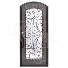 Load image into Gallery viewer, Single entryway door with a full length pane of glass behind intricate iron detailing. Door features a slight arch and is thermally broken to protect from extreme weather.