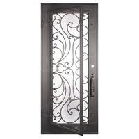 Single entryway door with a full length pane of glass behind intricate iron detailing. Door is thermally broken to protect from extreme weather.