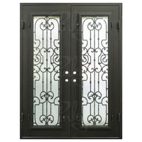 PINKYS Washington Black Steel Double Flat Doors