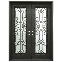 PINKYS Washington Black Steel Double Flat Doors