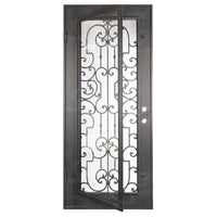 PINKYS Washington Black Steel Single Flat Doors