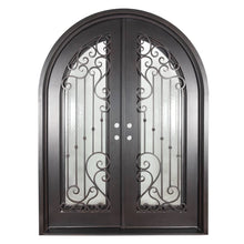 Load image into Gallery viewer, PINKYS Paris Black Exterior Double Full Arch Iron Doors