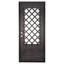 Load image into Gallery viewer, Single entryway door made with a thick iron frame. Doors feature 3/4 glass panels behind intricate iron designs.