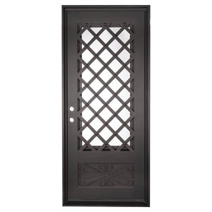 Single entryway door made with a thick iron frame. Doors feature 3/4 glass panels behind intricate iron designs.