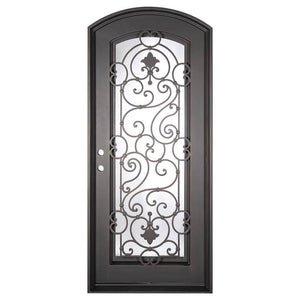 Single entryway door with full length pane of glass behind intricate iron detailing. Door features a slight arch and is thermally broken to protect from extreme weather.