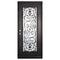 Single entryway door with a full length pane of glass behind intricate iron detailing.