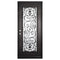 Single entryway door with a full length pane of glass behind intricate iron detailing and thick iron frame. Door is thermally broken to protect from extreme weather.