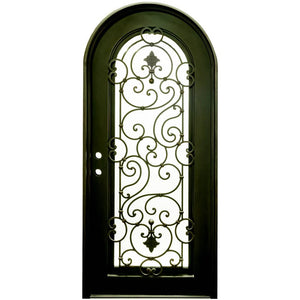 Single entryway door with a full length panel of glass behind intricate iron detailing.